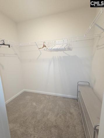 247 Ashewicke Drive Columbia SC 29229