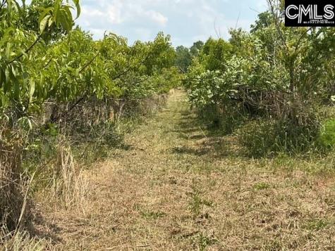 1189 Beech Creek Road Johnston SC 29832-0000