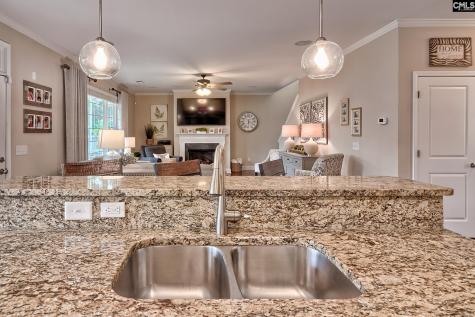 347 Duck Creek Lane Lexington SC 29072