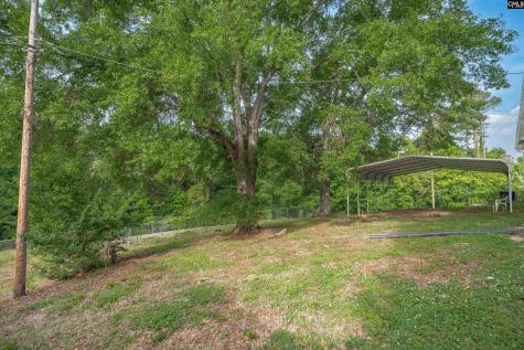 220 Nance Street Whitmire SC 29178