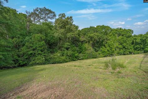220 Nance Street Whitmire SC 29178