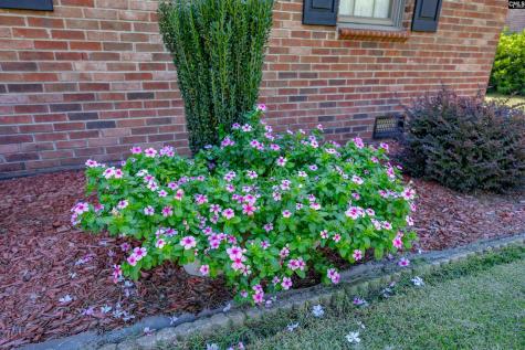 217 Tamwood Circle Cayce SC 29033