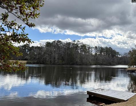 74 Ridge Lake Drive Columbia SC 29209