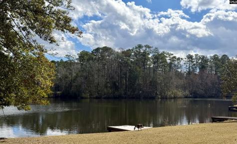 74 Ridge Lake Drive Columbia SC 29209