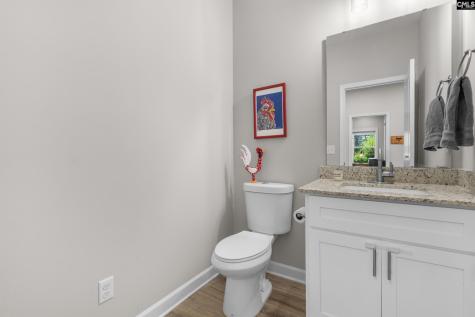 133 Night Harbor Drive Chapin SC 29036