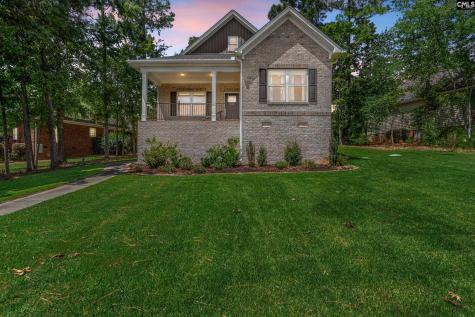 133 Night Harbor Drive Chapin SC 29036