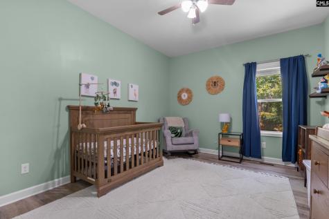 133 Night Harbor Drive Chapin SC 29036