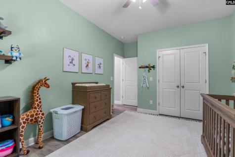 133 Night Harbor Drive Chapin SC 29036