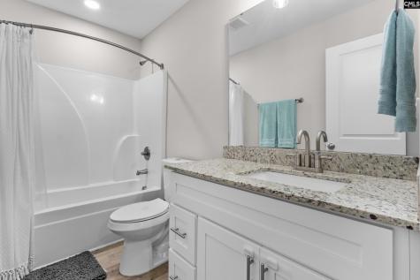133 Night Harbor Drive Chapin SC 29036