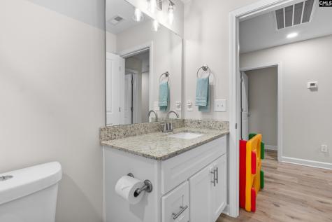 133 Night Harbor Drive Chapin SC 29036