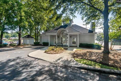 133 Night Harbor Drive Chapin SC 29036
