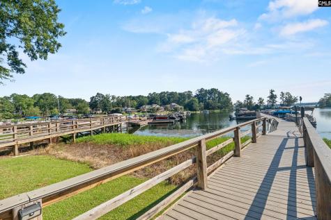 133 Night Harbor Drive Chapin SC 29036