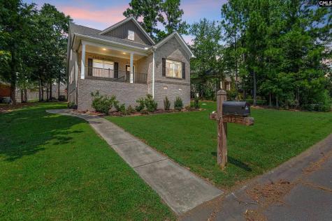 133 Night Harbor Drive Chapin SC 29036
