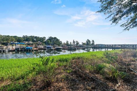 133 Night Harbor Drive Chapin SC 29036
