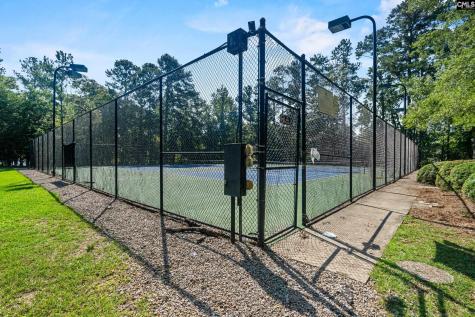 133 Night Harbor Drive Chapin SC 29036