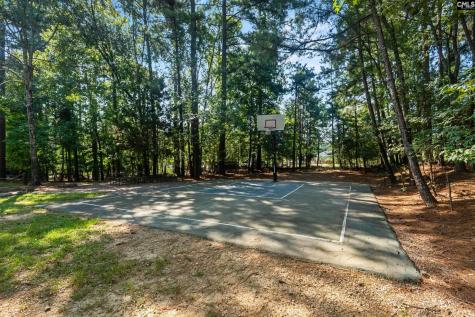133 Night Harbor Drive Chapin SC 29036