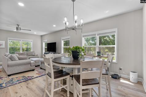 133 Night Harbor Drive Chapin SC 29036