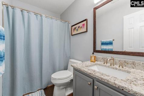 224 Ivy Hill Court Lexington SC 29072