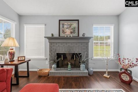 224 Ivy Hill Court Lexington SC 29072