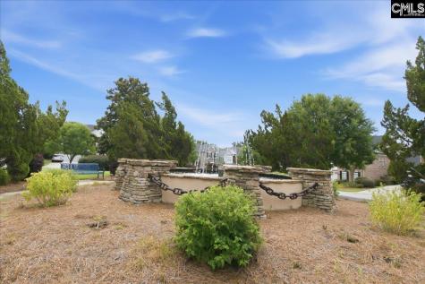 805 Boatswain Loop Chapin SC 29036-6128