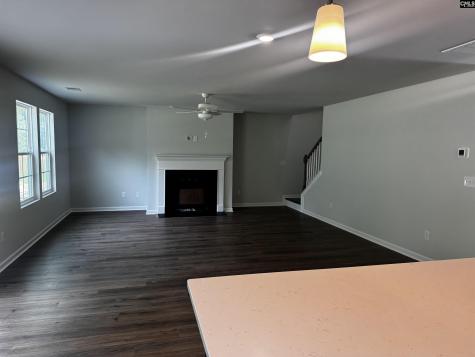 165 Kingsley Drive Blythewood SC 29016