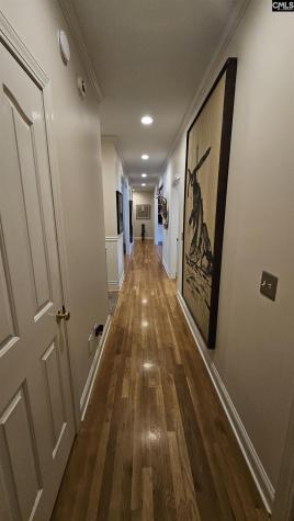 133 Hilton View Drive Chapin SC 29036
