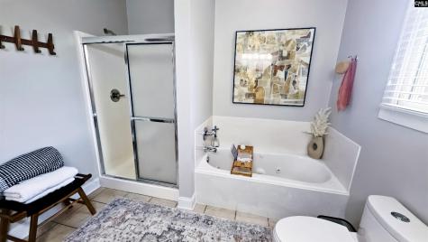 133 Hilton View Drive Chapin SC 29036