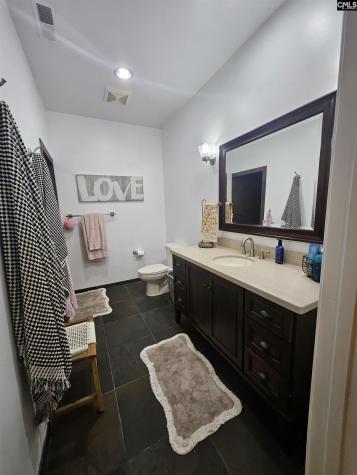 133 Hilton View Drive Chapin SC 29036