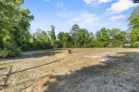225 Hickory Forest Street Columbia SC 29209