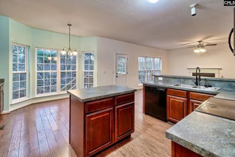 18 Persimmon Wood Court Irmo SC 29063