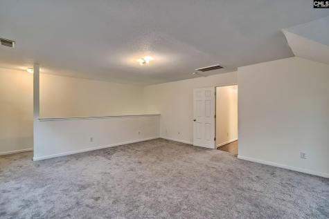 18 Persimmon Wood Court Irmo SC 29063
