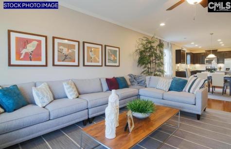 334 Mont Haven Lane Lexington SC 29072