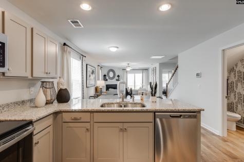 224 Laurinton Farms Drive Hopkins SC 29061