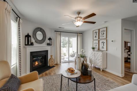 224 Laurinton Farms Drive Hopkins SC 29061