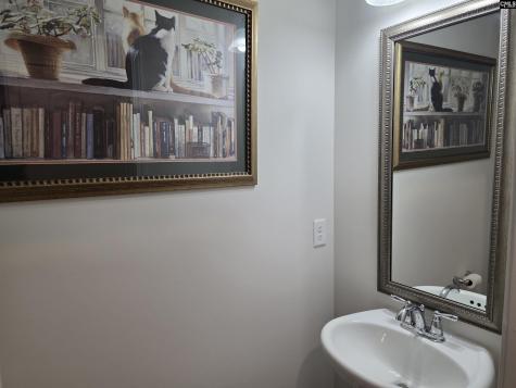 538 Sasanqua Lane Lexington SC 29073