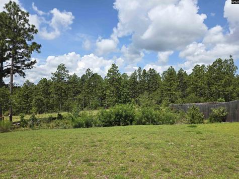 538 Sasanqua Lane Lexington SC 29073