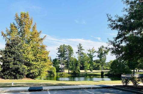 437 Destiny Farm Lane Blythewood SC 29016