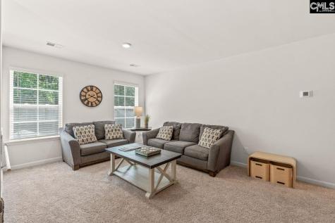 446 Stone Hollow Drive Irmo SC 29063