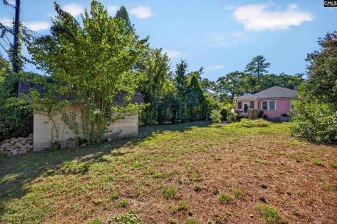3706 Palmetto Avenue Columbia SC 29203