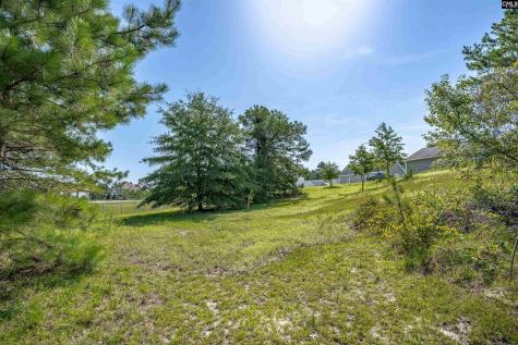 234 Mckade Lane Leesville SC 29070