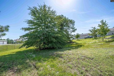 234 Mckade Lane Leesville SC 29070