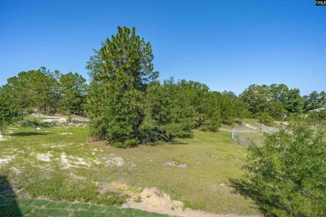234 Mckade Lane Leesville SC 29070