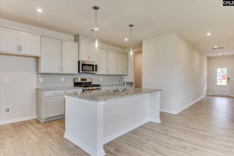 261 Summer Orchard Drive Lexington SC 29072