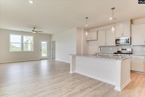 261 Summer Orchard Drive Lexington SC 29072