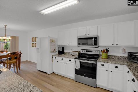 520 Blue Lake Drive Lexington SC 29072