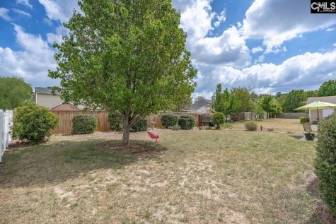 520 Blue Lake Drive Lexington SC 29072