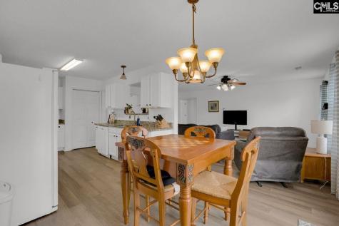 520 Blue Lake Drive Lexington SC 29072