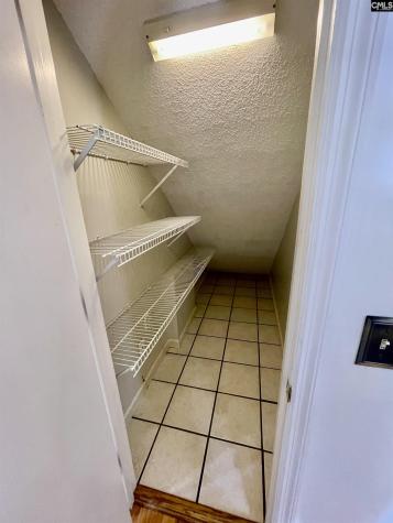 125 Forty Love Point Chapin SC 29036