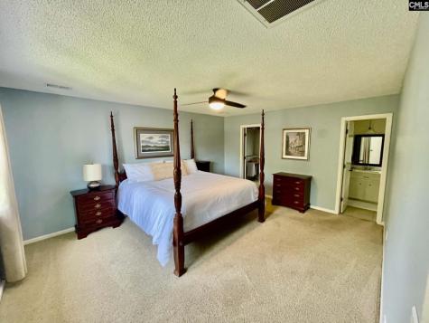 125 Forty Love Point Chapin SC 29036