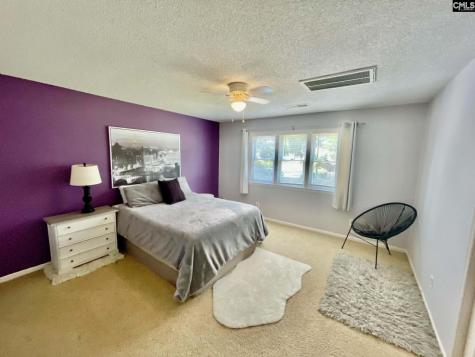 125 Forty Love Point Chapin SC 29036